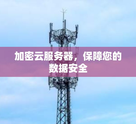 加密云服务器,保障您的数据安全 加密云服务器,保障您的数据安全