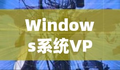Windows系统VPN配置使用指南 Windows系统VPN配置使用指南