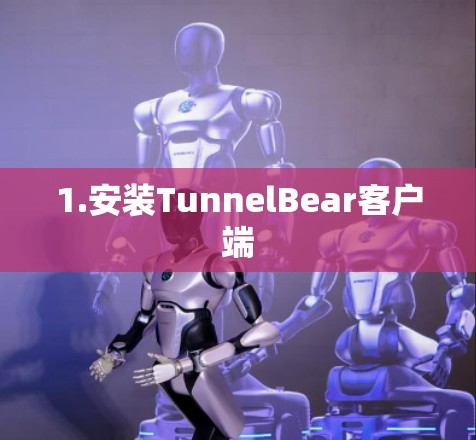 1.安装TunnelBear客户端