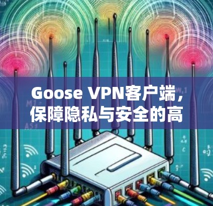 Goose VPN客户端，保障隐私与安全的高效解决方案