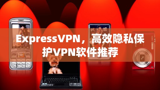 ExpressVPN,高效隐私保护VPN软件推荐 ExpressVPN,高效隐私保护VPN软件推荐