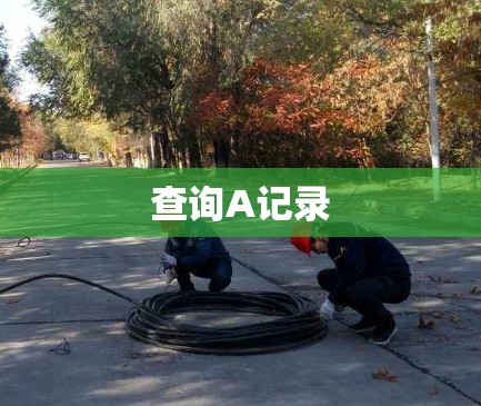 查询A记录 查询A记录
