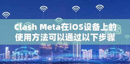 Clash Meta在iOS设备上的使用方法可以通过以下步骤详细说明