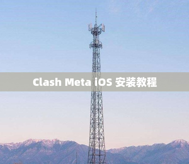 Clash Meta iOS 安装教程