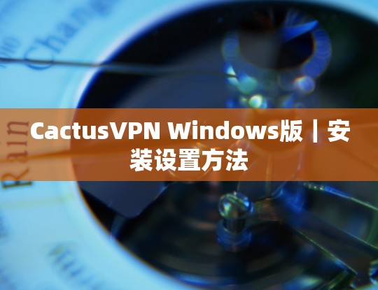 CactusVPN Windows版｜安装设置方法