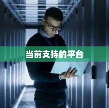 当前支持的平台 当前支持的平台
