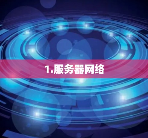 1.服务器网络 1.服务器网络