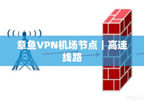 章鱼VPN机场节点｜高速线路