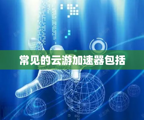 常见的云游加速器包括