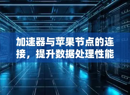 加速器与苹果节点的连接，提升数据处理性能