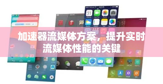 加速器流媒体方案，提升实时流媒体性能的关键