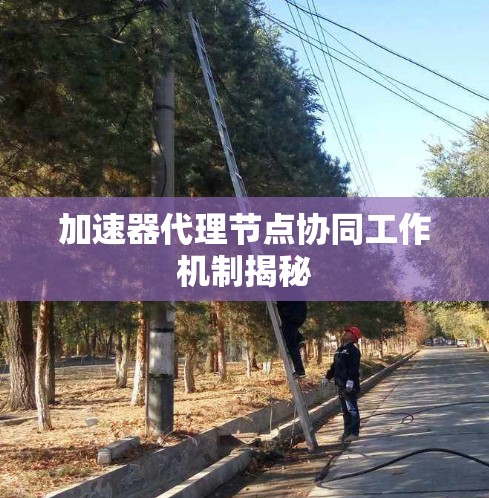加速器代理节点协同工作机制揭秘 加速器代理节点协同工作机制揭秘