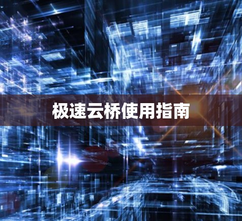 极速云桥使用指南 极速云桥使用指南