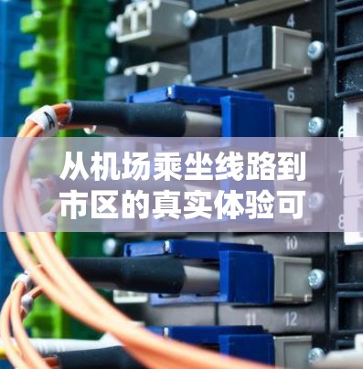 从机场乘坐线路到市区的真实体验可能因城市而异，但以下是一些常见的线路类型和乘坐后的真实感受
